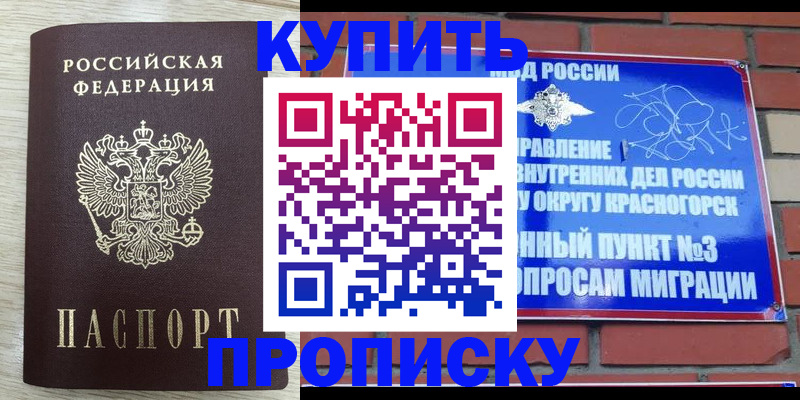 прописка гарантия в Пугачёве